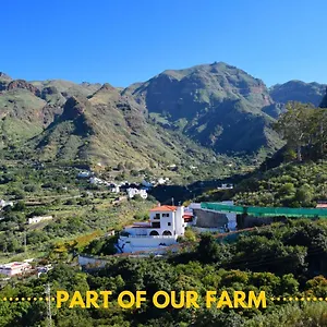 Casa Camino Tamadaba Appartement Agaete (Gran Canaria)